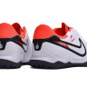 Сороконожки Nike Tiempo Legend X Academy TF WJ (белый)