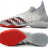Футзалки Adidas PREDATOR FREAK + IC SO серый