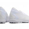 Сороконожки Adidas PREDATOR ACCURACY.3 TF WQ (Белый)