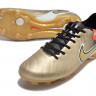 Бутсы Nike Legend X Academy FG NP золотой