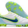 Бутсы Nike Legend 9 Academy AG NH (Белый)